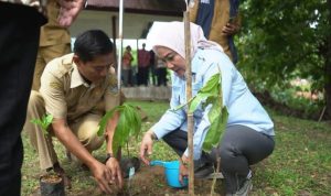 FB3826B8-205E-484C-A4C7-002256D743B7-744x446