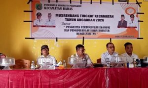 4d17916b5b58ca7f4692573f3379b50b21720f02736f1ccb5df94789874f4b45.0