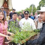 cfe45d87067ca0b028ea22d2a0a46ee30f6c6e4504467b17af4ec22a69116fa9.0