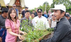 cfe45d87067ca0b028ea22d2a0a46ee30f6c6e4504467b17af4ec22a69116fa9.0